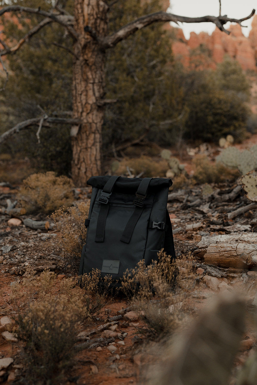 Camera Backpack with built in water bladder